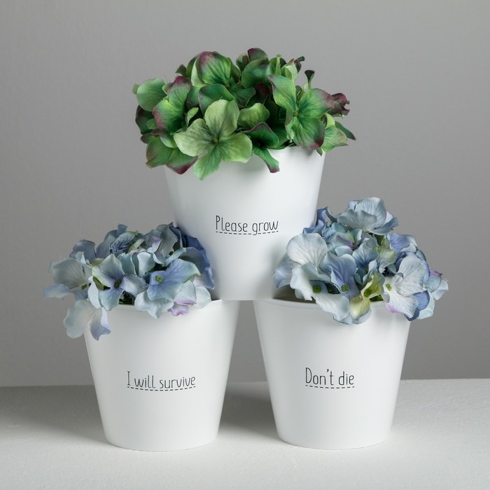 Набор кашпо 3 в 1 Please grow, 0.8 л, 11×12 см