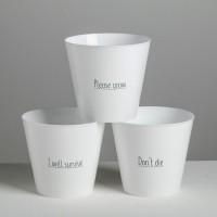 Набор кашпо 3 в 1 Please grow, 0.8 л, 11×12 см