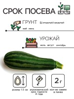 Семена Кабачок цукини "Зебра", 2 г