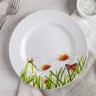 Тарелка мелкая «Ромашка», d=17 см Тарелка мелкая «Ромашка», d=17 см