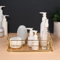 Органайзер для хранения косметических принадлежностей «РАФАЭЛЬ», 24.5×16.5×6.5 см, цвет золотистый