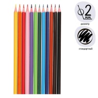 Карандаши Calligrata, цветные 12 цветов, эконом, заточенные, шестигранные, пластиковые