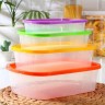 Набор контейнеров пищевых BioFresh, 4 шт: 0,5 л, 1 л, 1,6 л, 2,3 л, прямоугольные, цвет МИКС