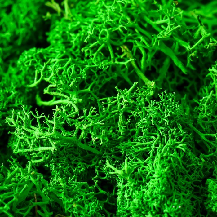 Кашпо бетонное"Фантазия"высота 9 см серебристое со мхом (мох зеленый стабилизированный)