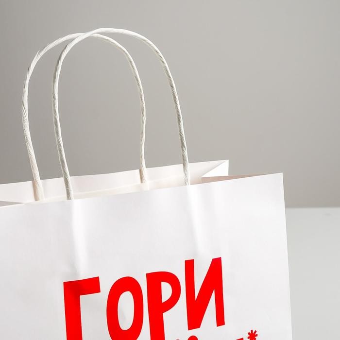 Пакет подарочный крафт, упаковка, «Гори огнем», 22 х 22 х 11 см