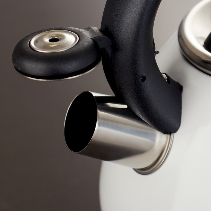 Чайник со свистком Доляна Magic birds, 3 л, с индикатором нагрева, индукция