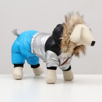 Комбинезон «Пушок», размер 12 (ДС 28 см, ОГ 38 см, ОШ 27 см), голубой