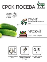 Семена Огурец "Нежинский", 0,5 г
