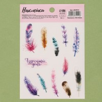 Наклейки бумажные «Перышки», 11 х 16 см