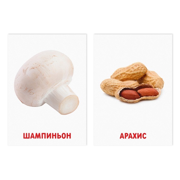 Обучающие карточки по методике Глена Домана «Грибы и орехи», 8 карт, 3+