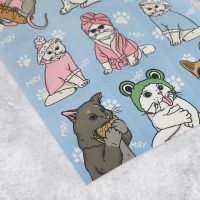 Наклейки бумажные «Котики», c раскраской на обороте, 11 × 15,5 см