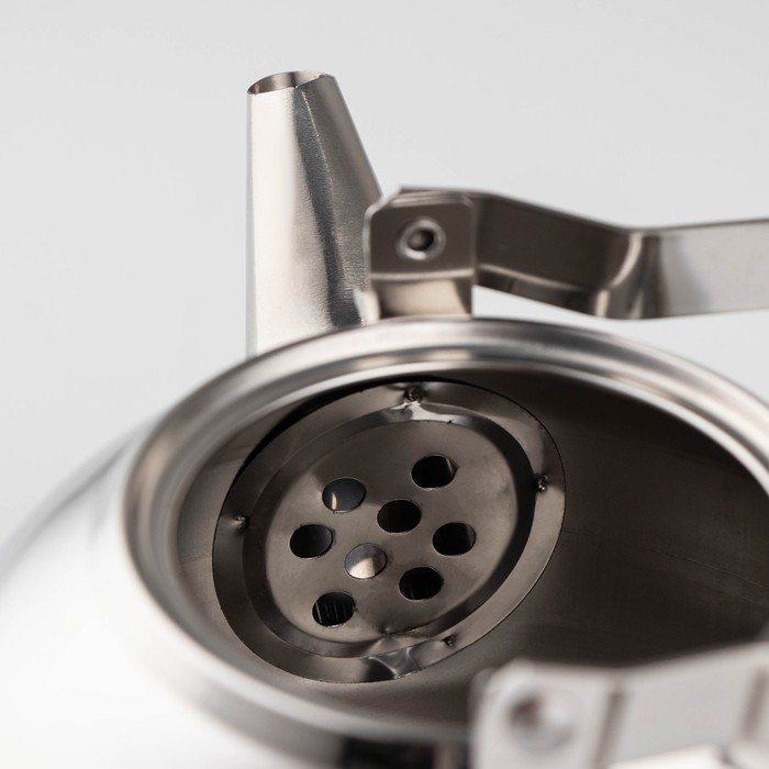 Чайник «Жуан», 1 л, с металлическим ситом, цвет хромированный