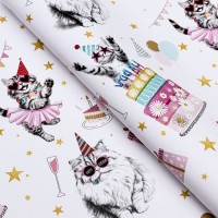 Бумага упаковочная глянцевая «Танцевальные поздравления», 50×70 см