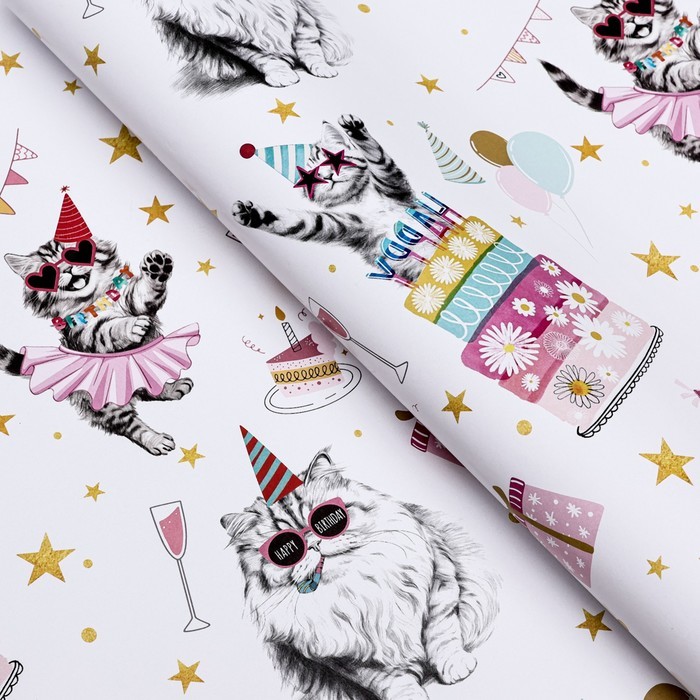 Бумага упаковочная глянцевая «Танцевальные поздравления», 50×70 см