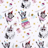 Бумага упаковочная глянцевая «Танцевальные поздравления», 50×70 см