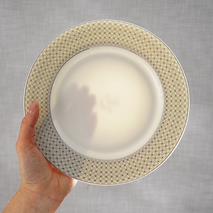 Тарелки WY Eternal, d=25.5 см, обеденные, набор 2 шт., фарфор, белые