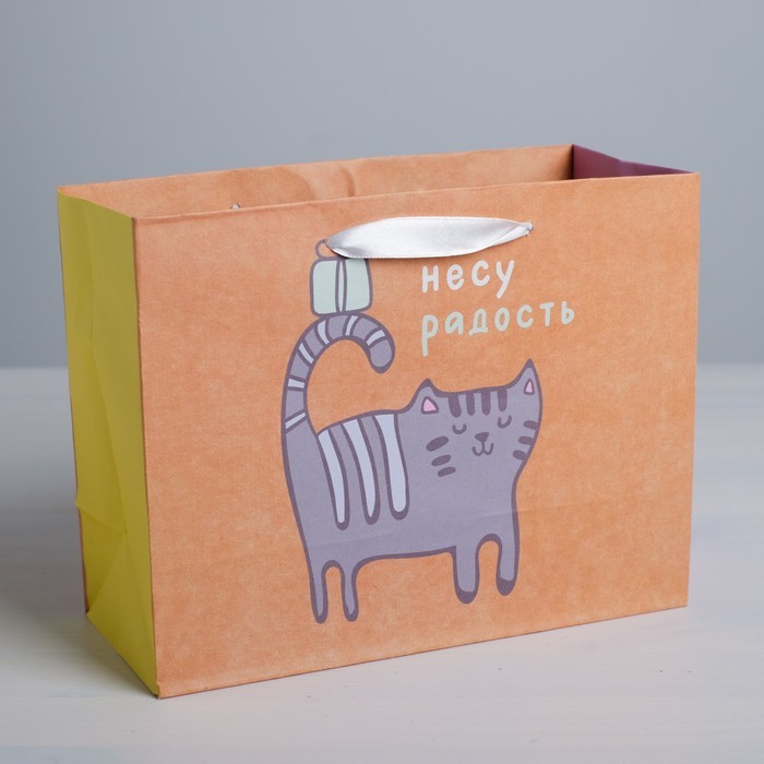 Пакет крафтовый горизонтальный «Несу радость», S 15 × 12 × 5,5 см