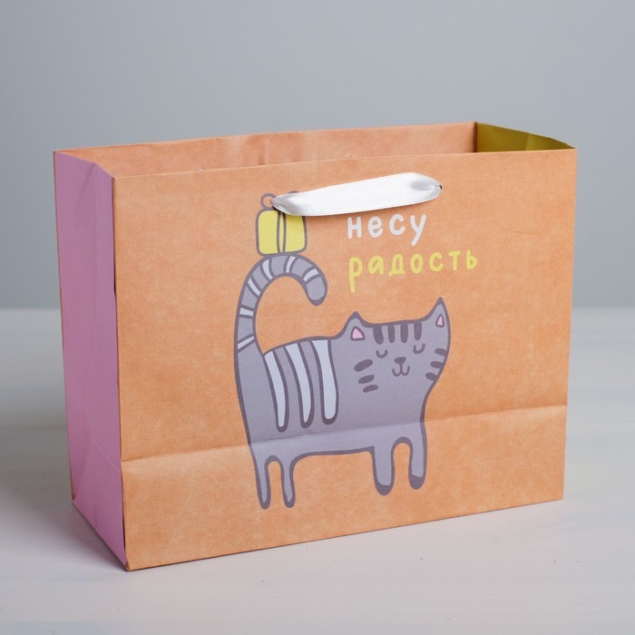 Пакет крафтовый горизонтальный «Несу радость», S 15 × 12 × 5,5 см