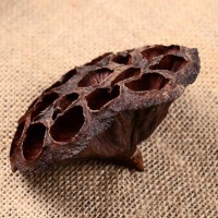 Декор сухоцвет "Лотос" d-8-11 см, коричневый