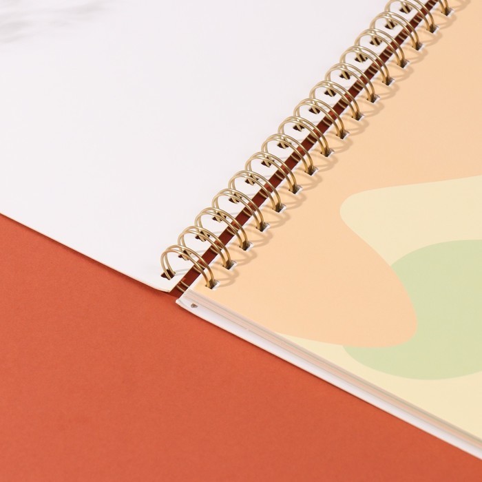 Фотоальбом на спирали 20 листов «Балерины и цветы», объёмный элемент и 4 вкладки, 24×24 см