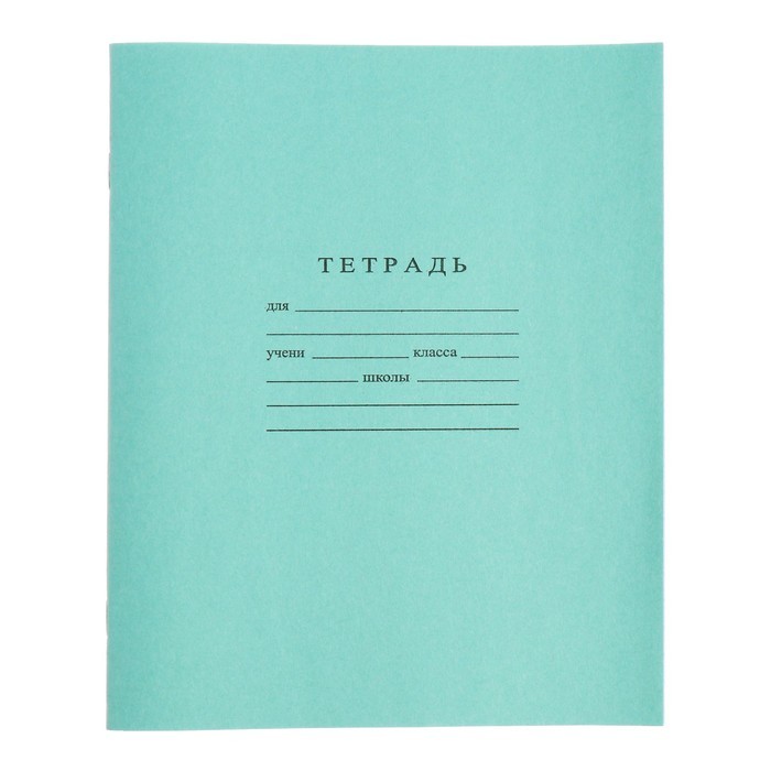 Набор тетрадей 24 листа в линейку «Зелёная обложка», 60 г/м², белые листы, 20 шт.