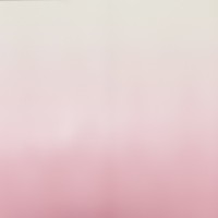 Пленка для цветов матовая, «Перелив», 57×58 см, розовый
