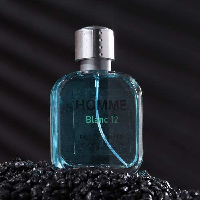 Туалетная вода мужская Homme Blanc 12, 100 мл