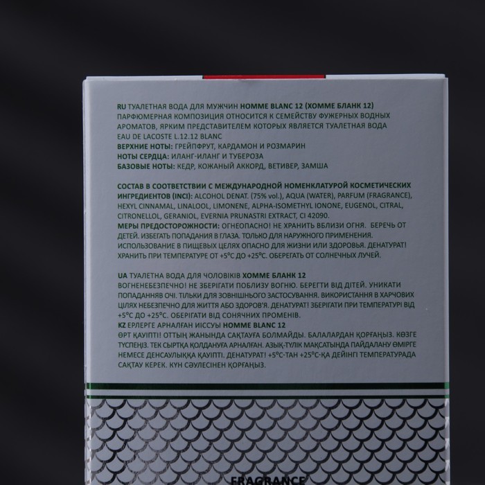 Туалетная вода мужская Homme Blanc 12, 100 мл
