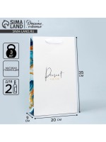 Пакет подарочный под две бутылки, упаковка, «Present for you», 35×20×9 см