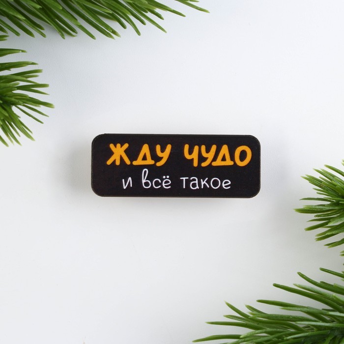 Значок новогодний «Новый год: радуйте близких» 4 х 1,5 см