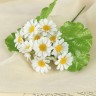 Букет "Ромашки полевые" 30 см, d цветка 4 см