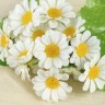 Букет "Ромашки полевые" 30 см, d цветка 4 см