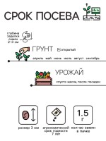 Семена Редис "Кинг-конг", 1,5 г