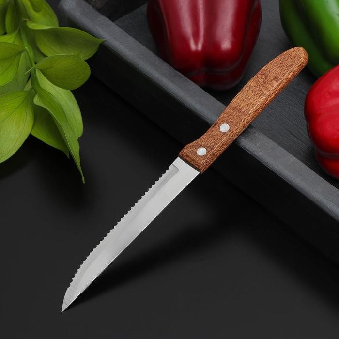 Нож кухонный «Эльбрус», зубчатое лезвие 11,5 см