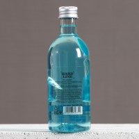 Гель для душа водка «Абсолютно лучший», 250 мл, аромат мужского парфюма, HARD LINE