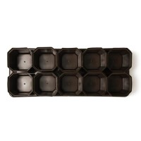 Набор для рассады: стаканы по 300 мл (10 шт.), поддон 42 × 17 см, цвет МИКС