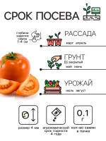 Семена Томат "Хурма", 0,1 г