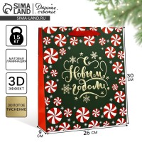 Пакет подарочный новогодний ламинированный «Новогодние чудеса», тиснение, M 30×26×9 см