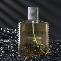 Туалетная вода мужская Absolute Platinum, 100 мл