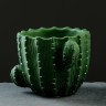 Кашпо "Кактус" 13х10см