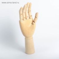 Модель деревянная художественная Манекен "Рука мужская правая" 31 см