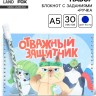 Подарочный набор, двойной блокнот с заданиями, ручка «Отважный защитник»