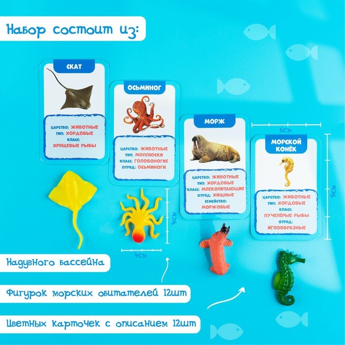 Развивающий набор «Подводный мир», бассейн, гидрогель, карточки