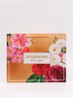 Пакет подарочный горизонтальный «Поздравляю от всей души», 49×40×19 см