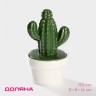 Банка для сыпучих Доляна «Кактус», 150 мл, 8×8×14 см, керамика