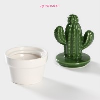 Банка для сыпучих Доляна «Кактус», 150 мл, 8×8×14 см, керамика