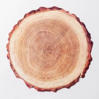 Салфетка сервировочная на стол «Спил», 38×39 см, цвет серый