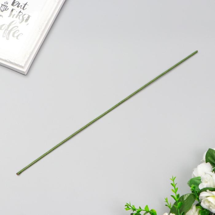 Проволока для изготовления искусственных цветов "Зелёная" 40 см сечение 2,5 мм