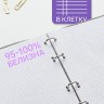 Тетрадь на кольцах Calligrata A5, 80 листов, в клетку, пластиковая обложка, блок офсет, голубая