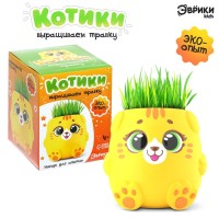 Набор для опытов, для детей «Котики. Выращиваем травку», растение в жёлтом горшочке